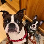 We are Bruno and Fiona  🇺🇸 - @bruno_and_fiona - Instagram