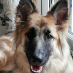 Fiona Buck - Facebook
