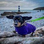 Fiona Bush - Facebook