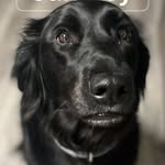 Fíona Byrd - @fionabyrd5 - Instagram