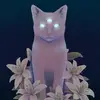 Fionnabird - @fionnabird - TikTok
