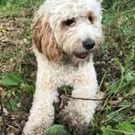 Fiona Carpenter - @fiona_carpenter00 - Instagram