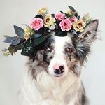 Fiona Carter - @carterfiona95 - Instagram