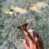Fiona Casey - @fiona.casey4 - TikTok