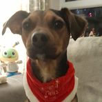 Fiona Casey - Facebook