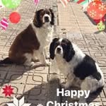 Fiona Casey - @fionacasey473 - Instagram