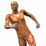 Fiona Casey Physiotherapy - Facebook