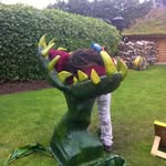 Fiona Elder - @fionacobb - Instagram