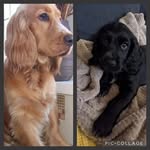 Fiona Cochran - @cochran_fiona - Instagram
