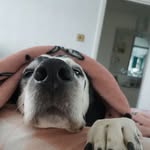 Fiona Cogan - @fionacogan497 - Instagram