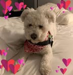 Fiona Cogan - Facebook