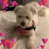 Fiona Cogan - @fiona.cogan - TikTok