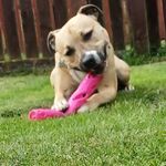 Fiona Collie - @fionacollie - Instagram