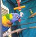 Fiona Collins - Facebook
