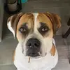 Fiona Chomps - @fionachomps - TikTok