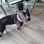 Fiona Combe - Facebook