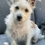 Fiona conway - @daisy_doo1972 - Instagram