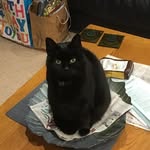 Fiona Cross - @fionapccross - Instagram