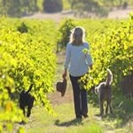 Fiona Cross - @bodhitreewines - Instagram