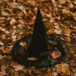 Fiona - @fiona_crossing_ - Instagram