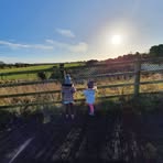 Fiona Curtin - Facebook