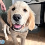 Fiona cusack - @fionacusack4 - Instagram