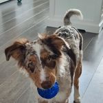 welkom - welkom - @fiona_flora_dalton - Instagram