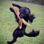 Fiona Dearden - @fiona_dearden - Instagram