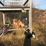 Fiona Dempsey - @fiona_kirsty_artist - Instagram