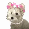 Dddddd - @fionading786 - TikTok