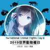 Fiona Ding - @fionading95 - TikTok