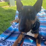 Fiona Dixon - @fifidix - Instagram