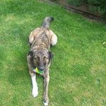 Fiona Downer - @downerfiona - Instagram