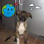Fiona Downer - @schoolfinch - Instagram