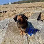 Fiona Downer - @fi_ona3584 - Instagram