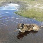 fiona - @downerfiona7 - Instagram