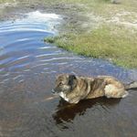 fiona - @downerfiona82 - Instagram