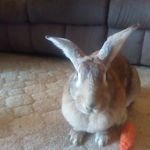 Fiona Downes - @downes_f - Instagram