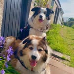 Fiona Duffy - @fionaduffy842 - Instagram