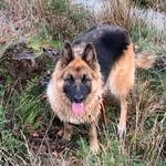FionaD - @fiona_duffy_ - Instagram