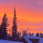 fiona_dunphy - @fiona_dunphy - Instagram