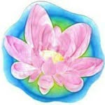 Fiona Dunphy - @healingroom_ireland - Instagram