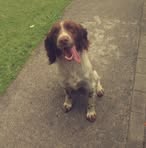 Fiona Dunphy - Facebook