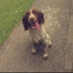 fiona dunphy - @fion.adunphy - Instagram