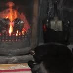 Fiona Dunphy - Facebook
