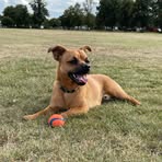 Fiona Evans - Facebook