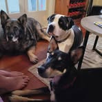 Fiona Evans - Facebook