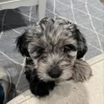 Fiona - @fionaeverett18 - Instagram