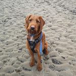 Fiona Farley Hills - @ffhills - Instagram