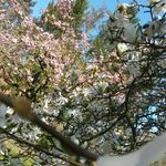 ♧♣♧♣♧♣♧♣♧♣♧♣♧♣♧♣♧♣♧♣ - @fiona.flower - Instagram